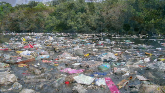 Día libre de bolsas de plástico, falamos do seu impacto na natureza - 03/07/2020 13:29