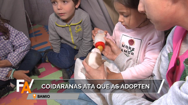 Os nenos e nenas de Bamio coidan de dúas cadeliñas abandonadas - 18/03/2019 21:06