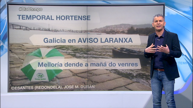 Temporal Hortensia - 21/01/2021 17:02