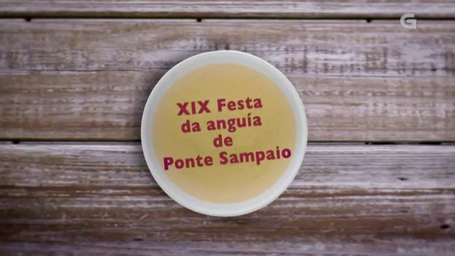 Programa 6: XIX Festa da Anguía de Ponte Sampaio - 07/07/2014 22:00