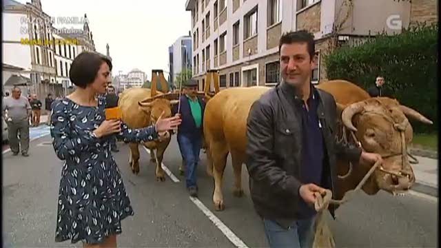 Desde a Festa de San Froilán en Lugo - 09/10/2016 23:30