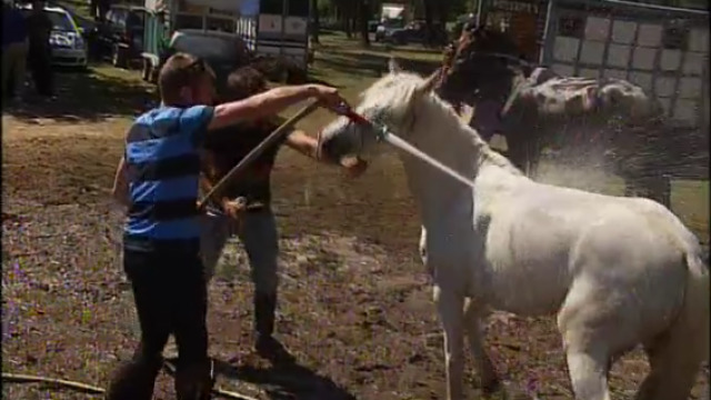 Festa do cabalo de Santa María do Mundil (Cartelle) - 28/06/2015 23:30