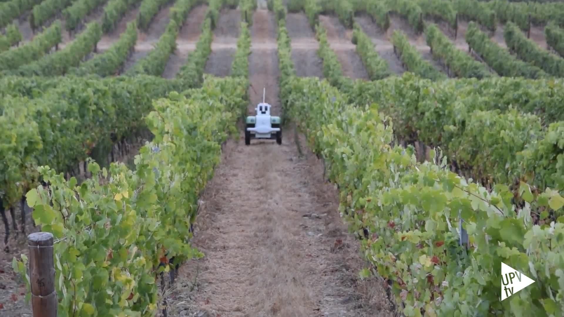 03-05-2021 VineScout