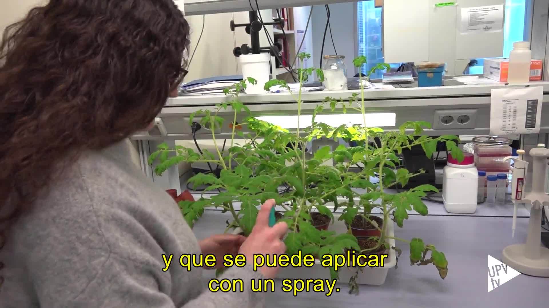 13-03-2023 Fármacos contra la sequía