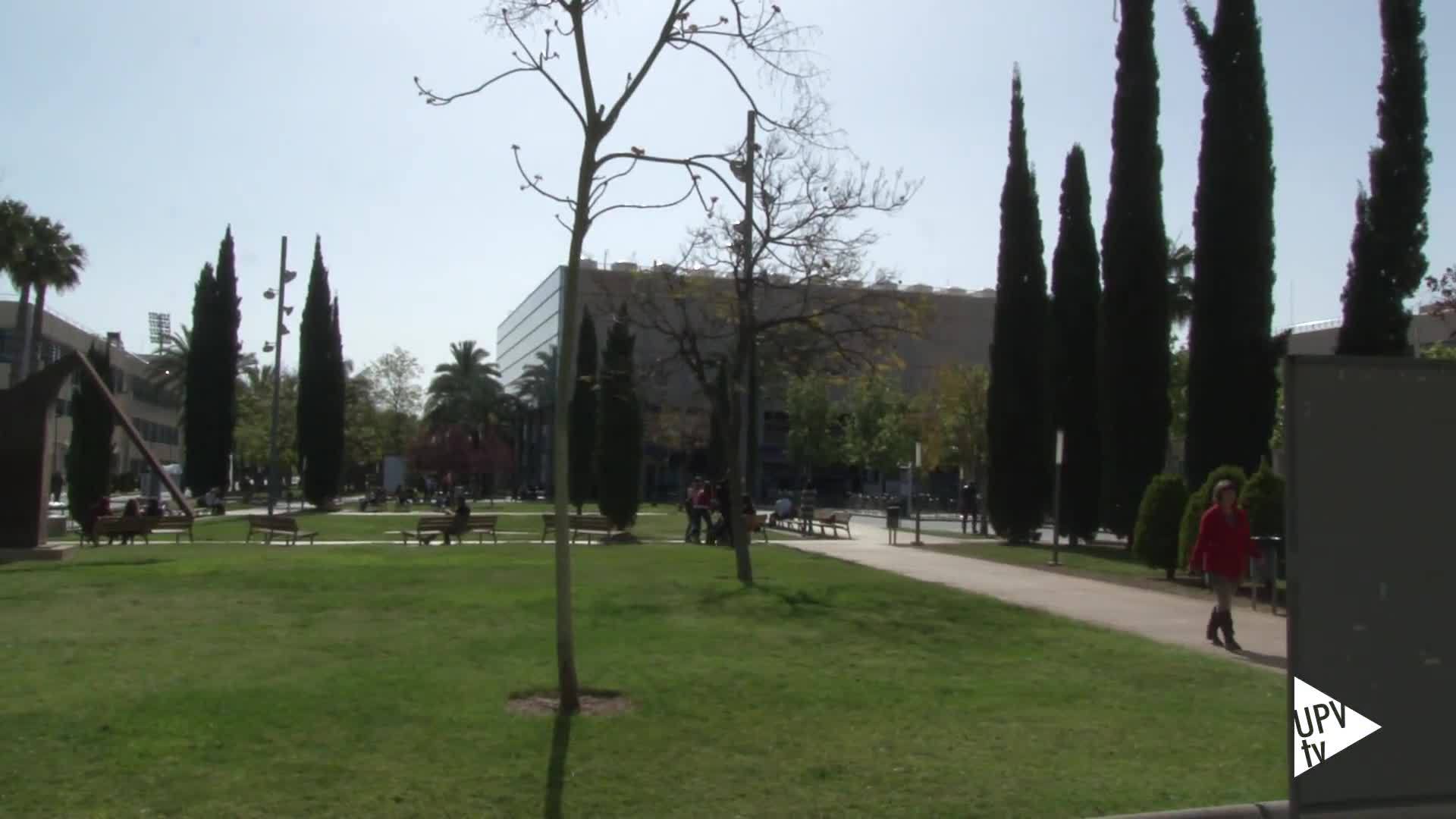 15-06-2016 UPV, mejor universidad española en Ciencias e Ingenierías, Informática y TIC