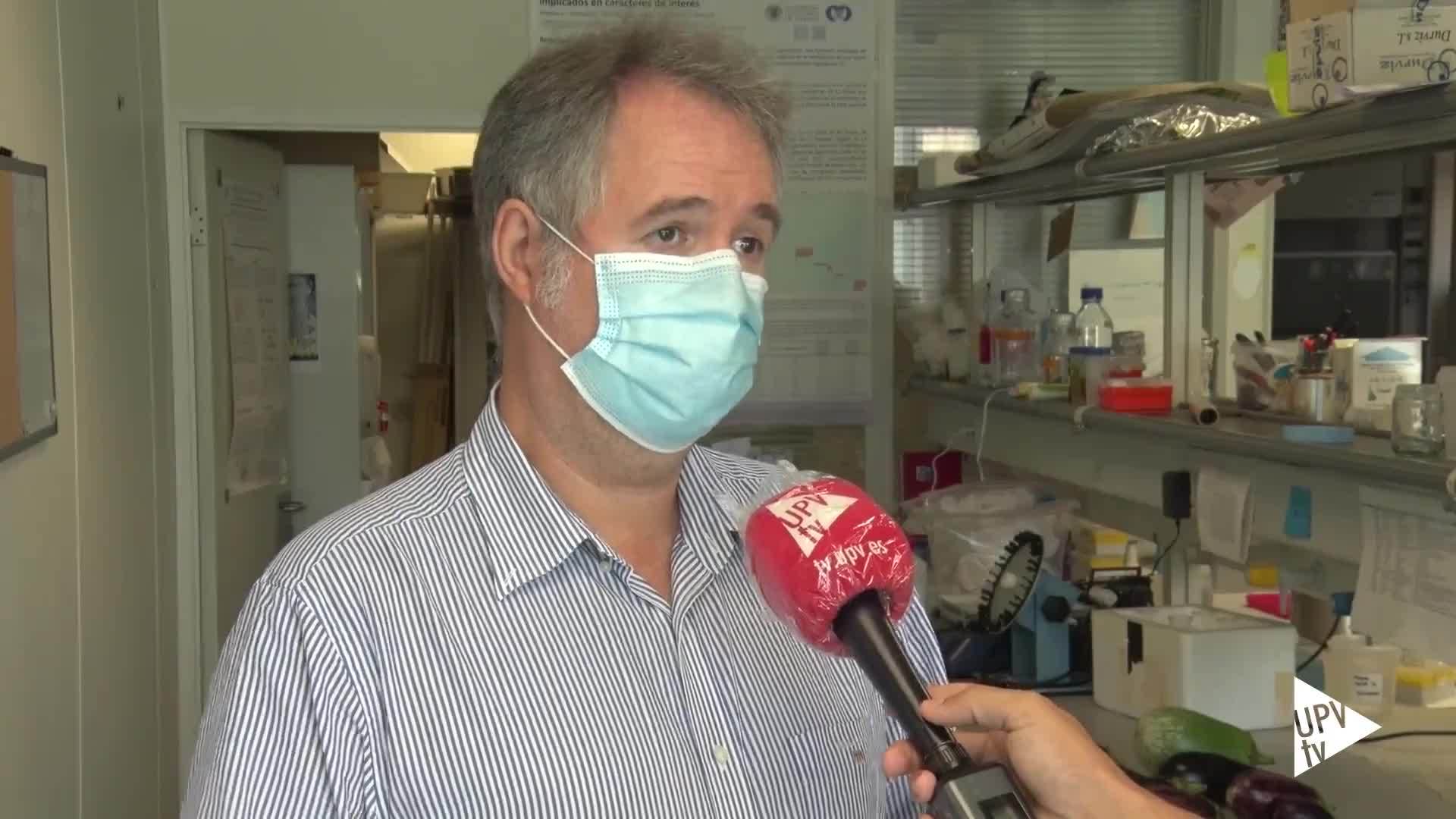 16-09-2021 Berenjenas más resistentes al cambio climático