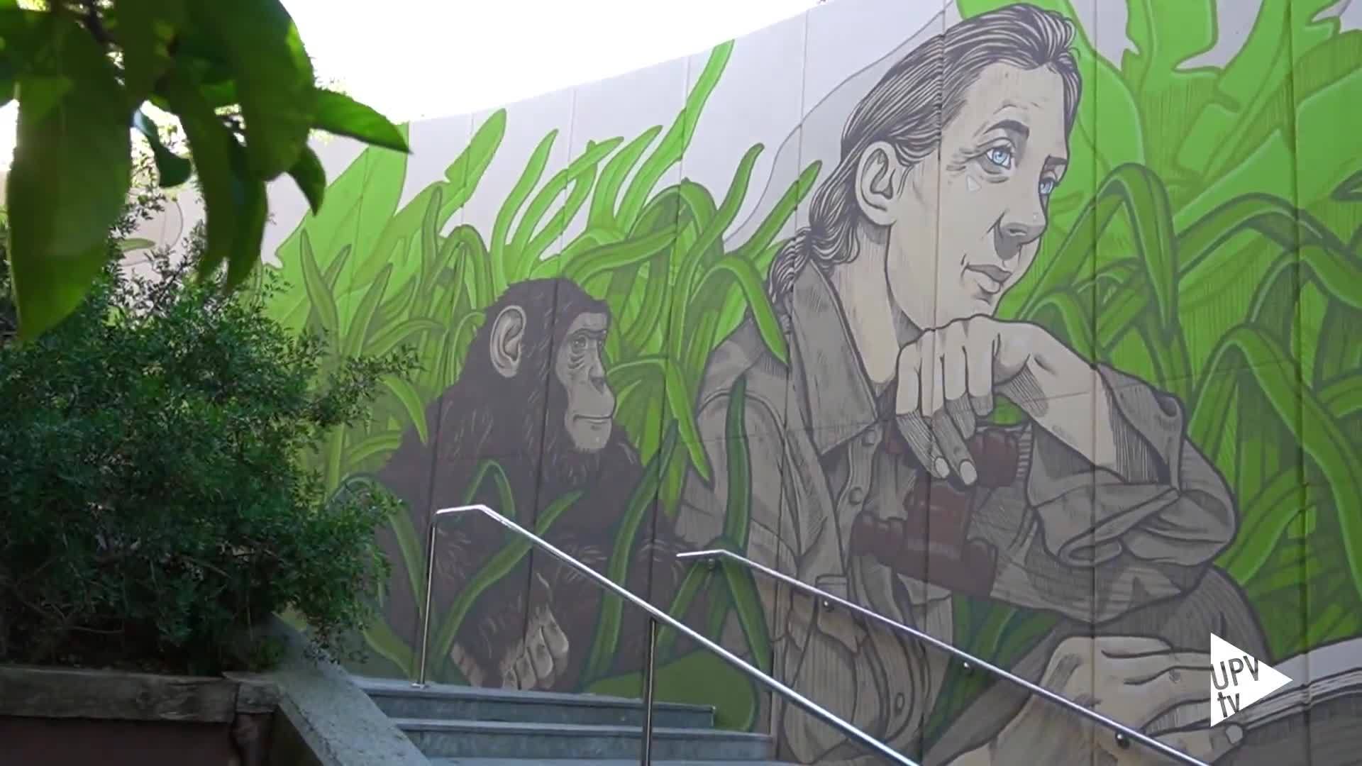 16-10-2020 Jane Goodall, mujer de ciencia