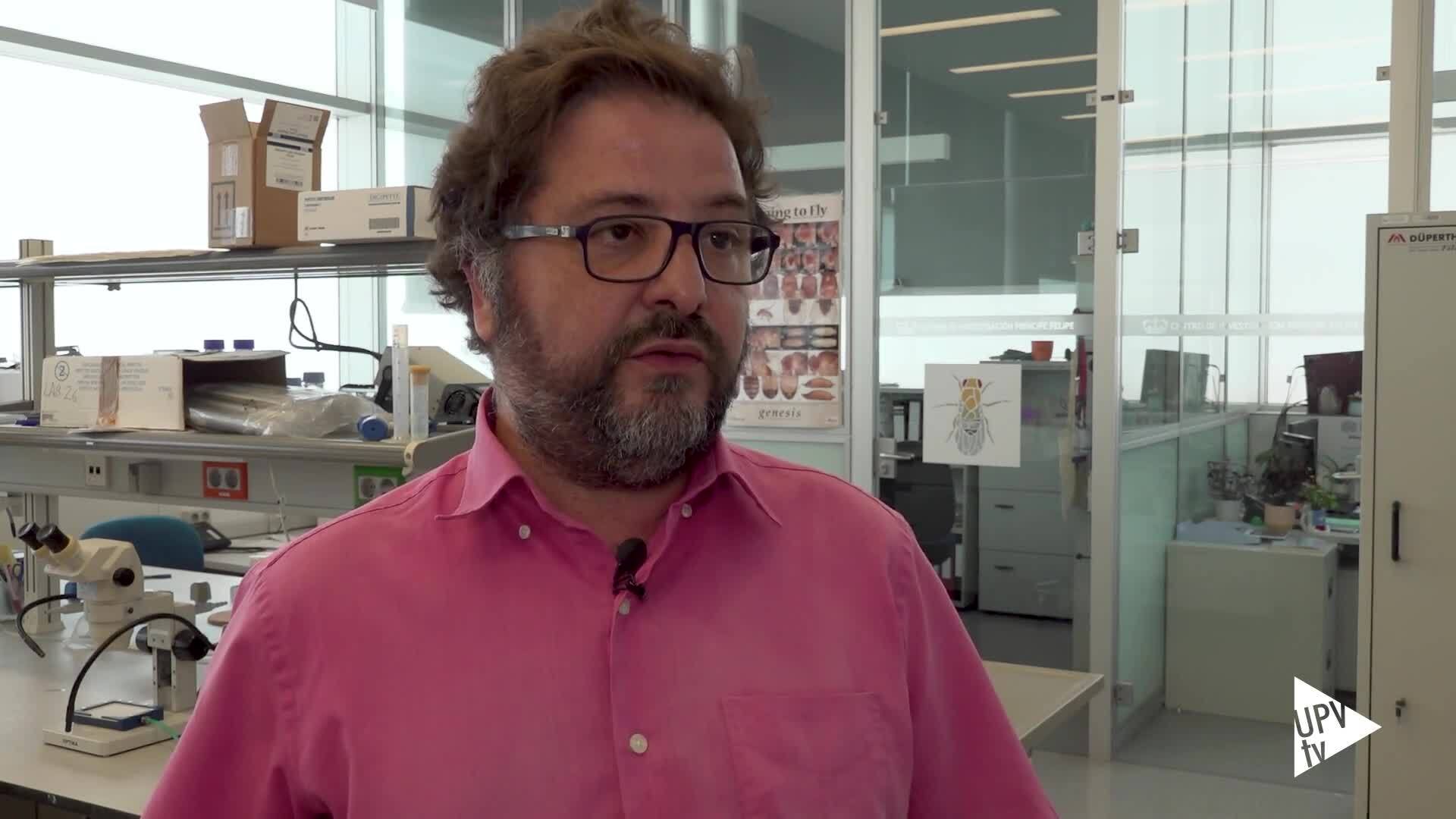 23-05-2023 Moscas del vinagre para investigar nuevos tratamientos de epilepsias