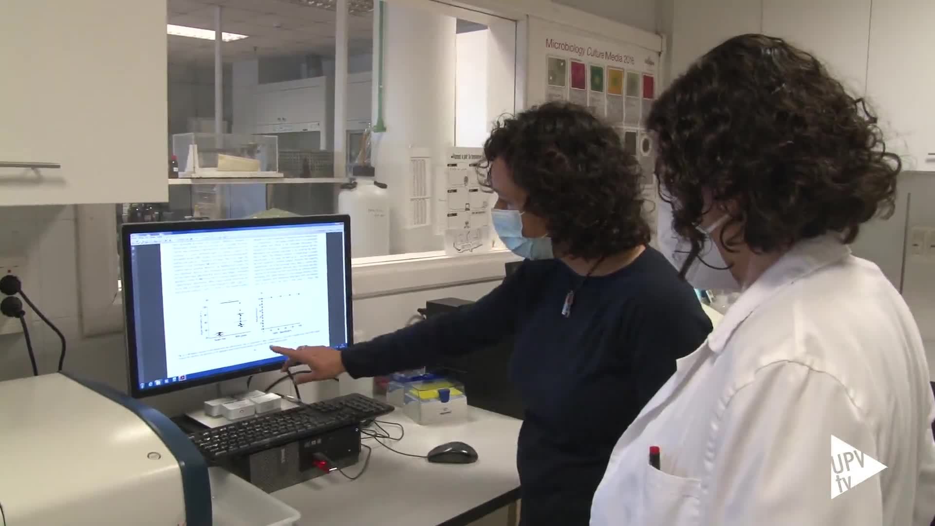 26-05-2021 Nuevo dispositivo para detección más eficaz de gluten