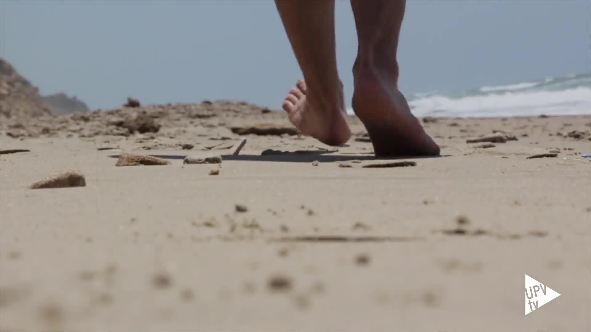 28-06-2020 ¿Habrá medusas en la playa?