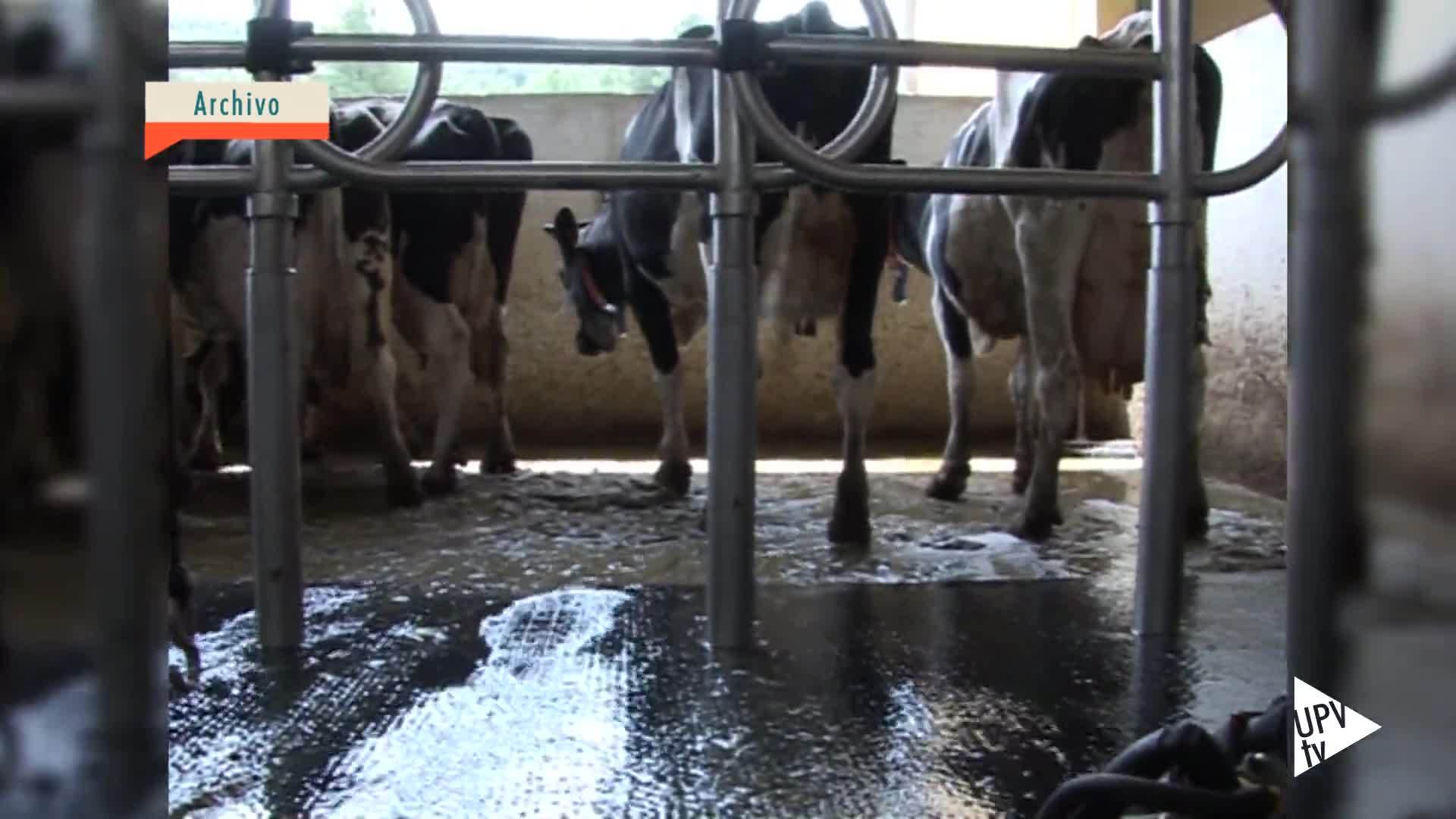 29-09-2015 Mejorar la producción de leche