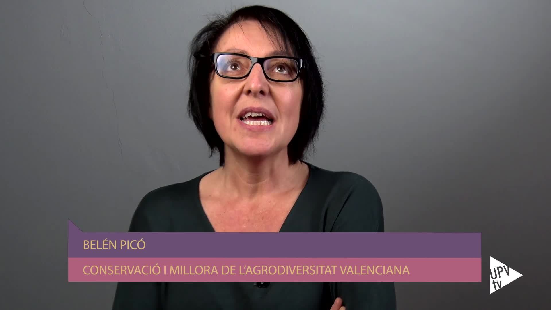 11-02-2019 María Belén Picó Sirvent