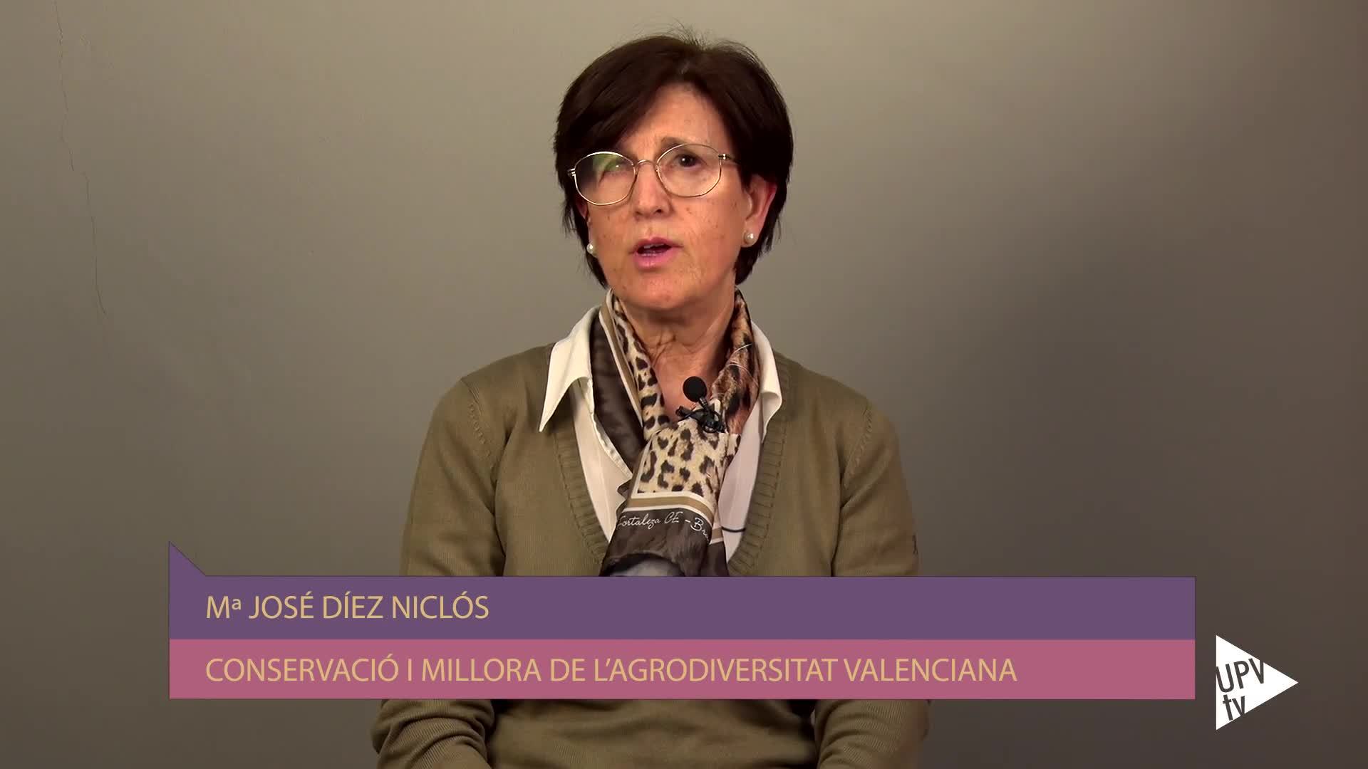 11-02-2019 María José Teresa de Jesús Díez Niclós