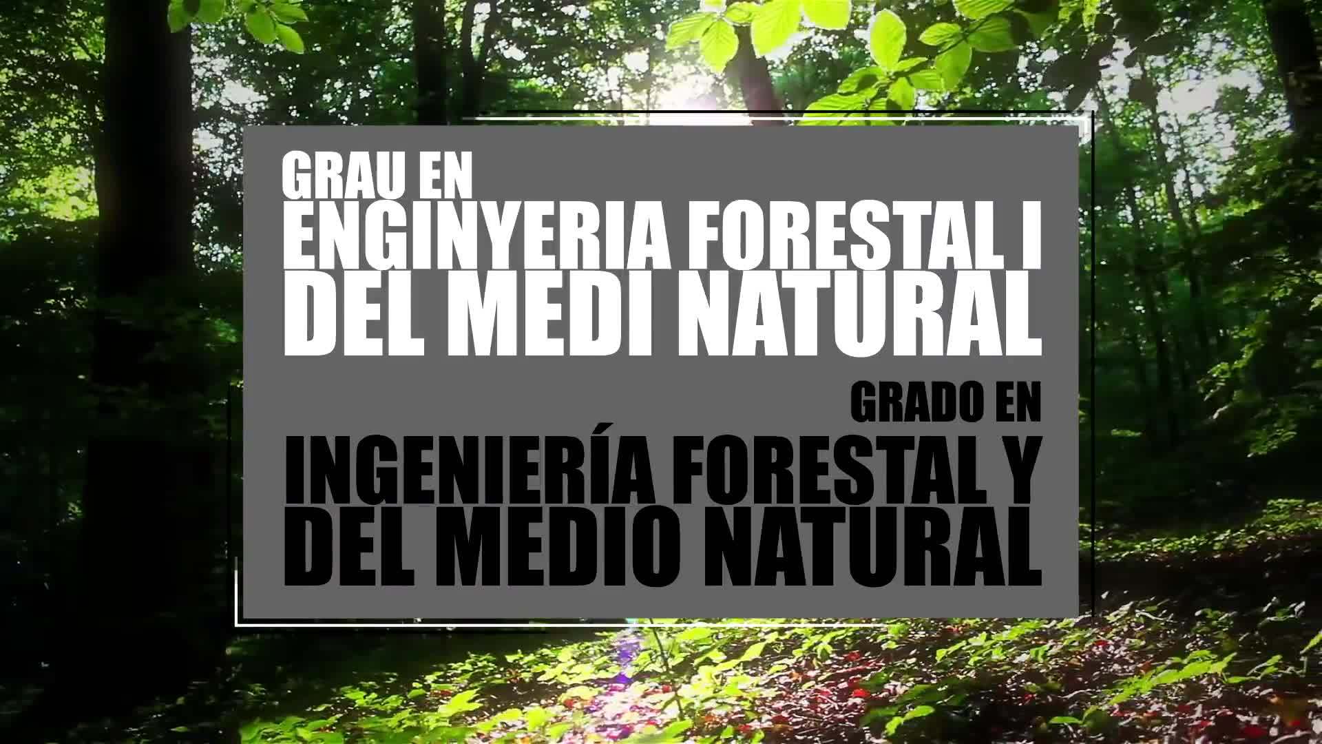 22-04-2020 Grado en Ingeniería Forestal y del Medio Natural