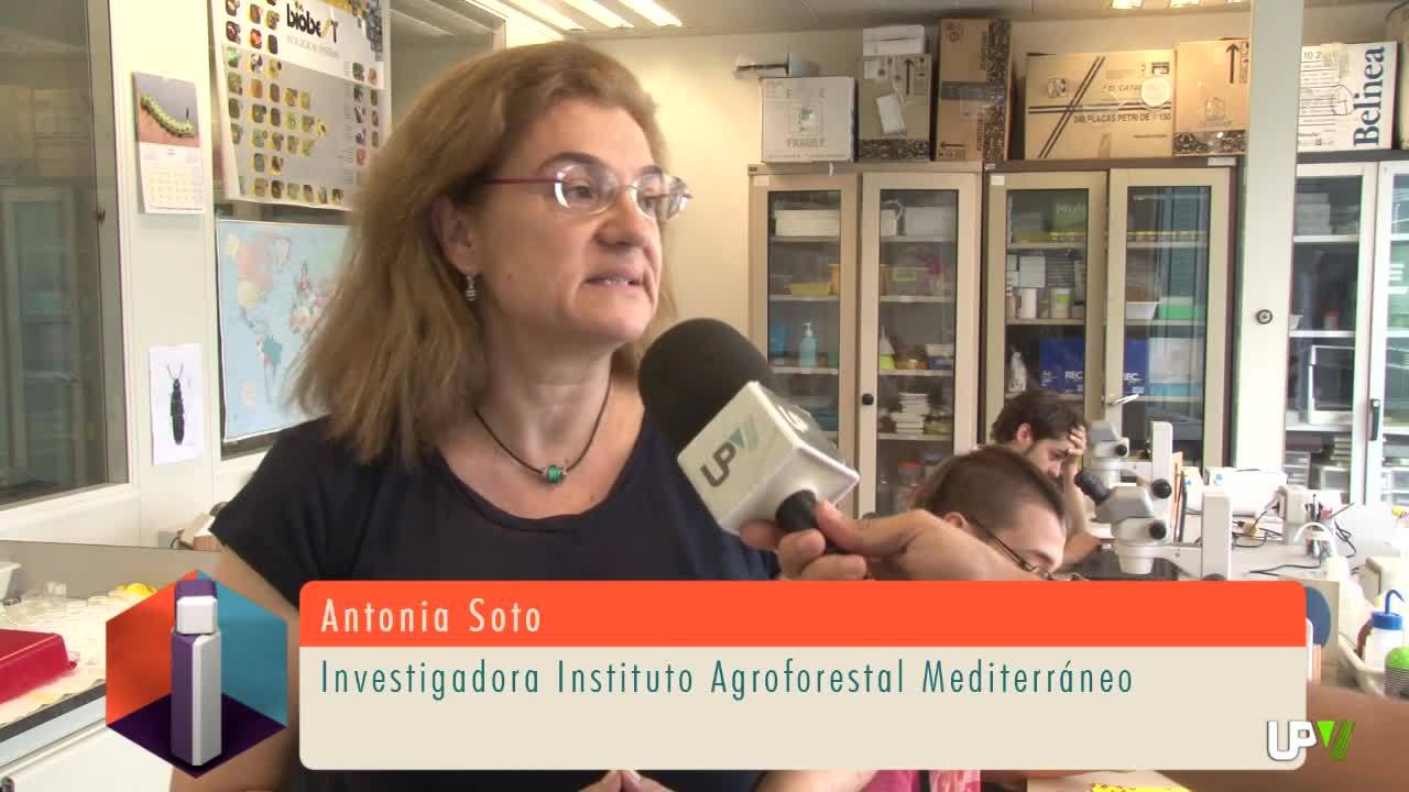 01-07-2014 UPV Noticias