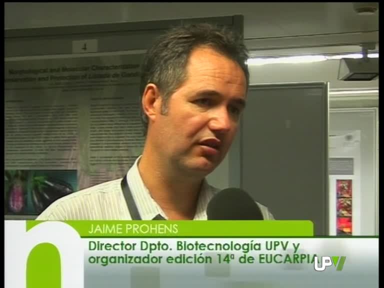 01-09-2010 UPV Noticias