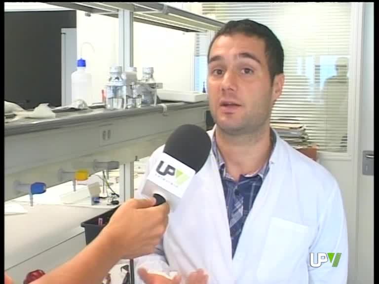 06-09-2010 UPV Noticias