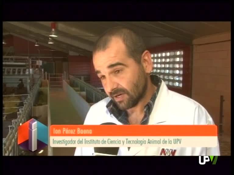 07-11-2013 UPV Noticias