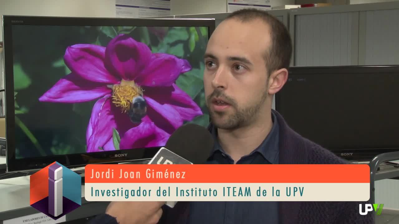 08-01-2015 Informativo UPV