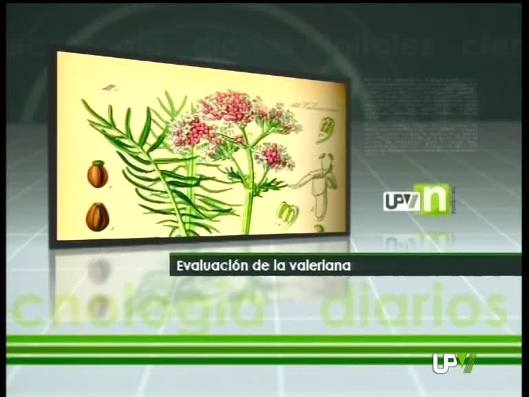 08-06-2010 UPV Noticias