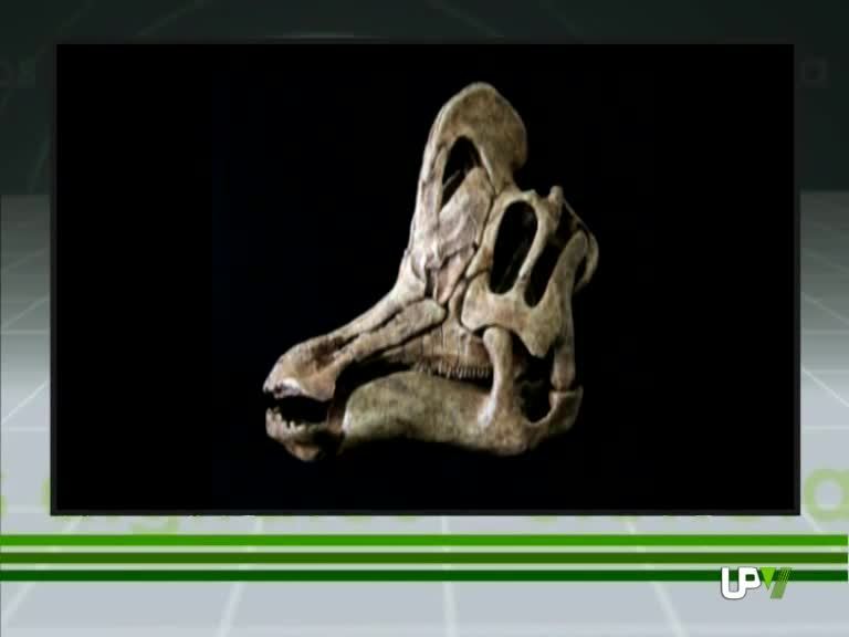 10-12-2010 UPV Noticias