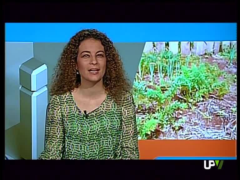 12-06-2013 UPV Noticias