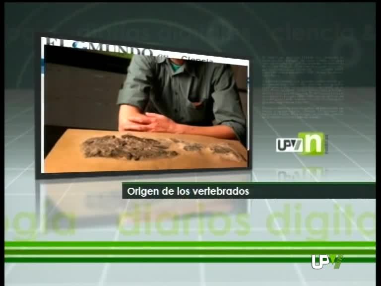 18-05-2010 UPV Noticias