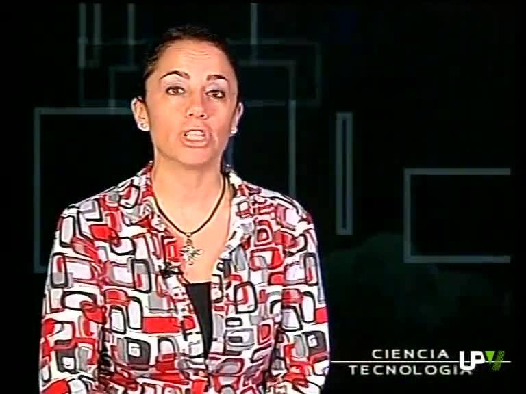 20-11-2008 UPV Noticias