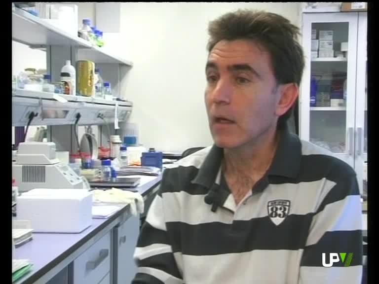 21-01-2010 UPV Noticias
