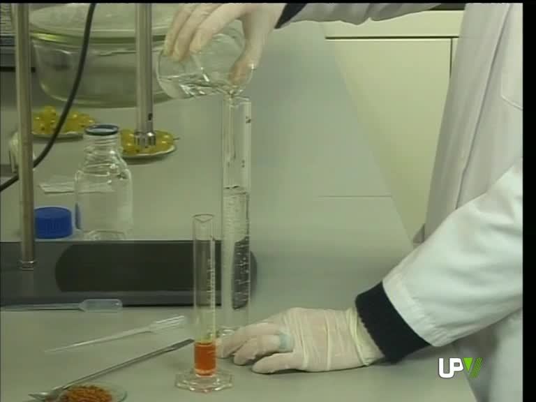 21-01-2011 UPV Noticias
