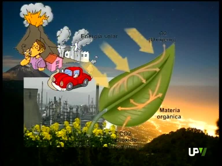 23-04-2009 UPV Noticias