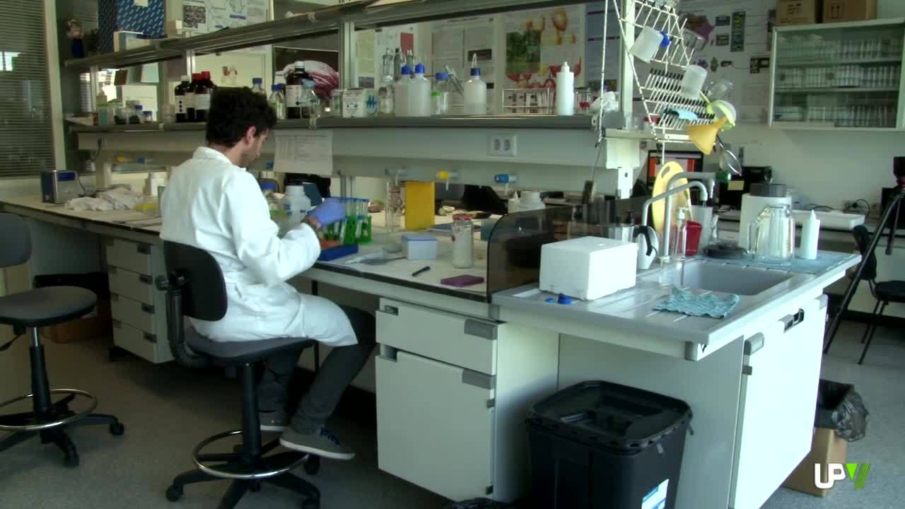 23-10-2014 UPV Noticias