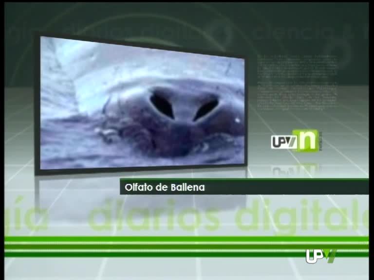26-07-2010 UPV Noticias