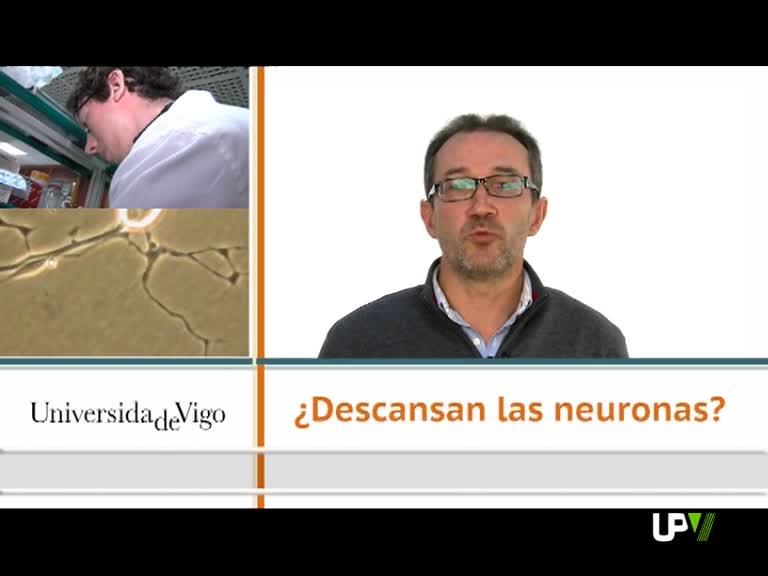 13-06-2013 [25] Descansan las neuronas. Antonio Lamas [Facultad de Bilogía de la Universidad de Vigo]