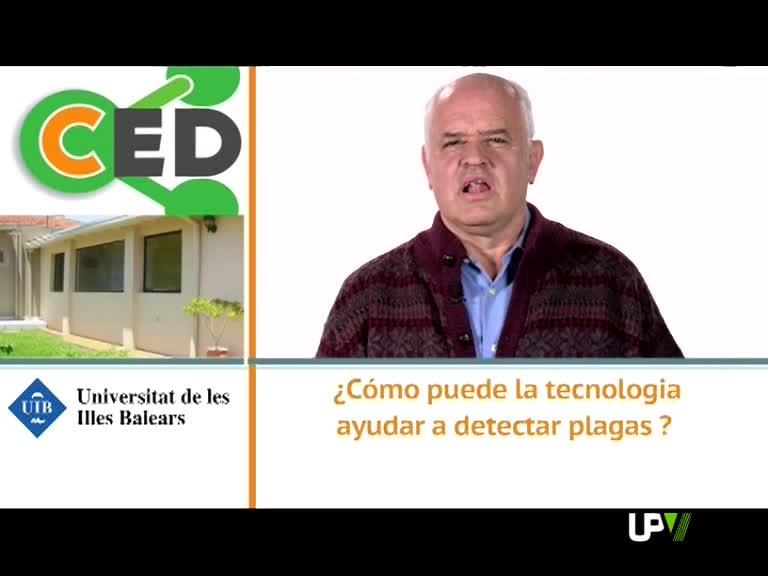 24-07-2013 [66] Cómo puede la tecnología ayudar a detectar plagas. Bartolomé Serra [Investigador ACSIC de la Universitat de les Illes Balears]