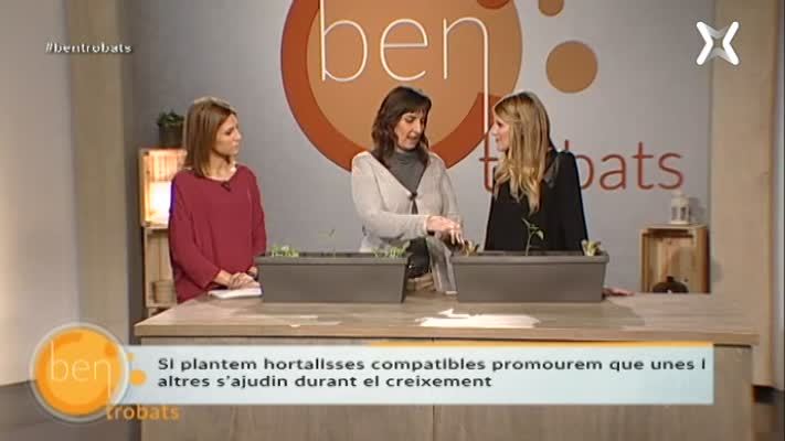 Aprofitar l'espai a l'hort