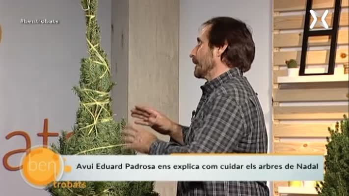 Arbre de Nadal