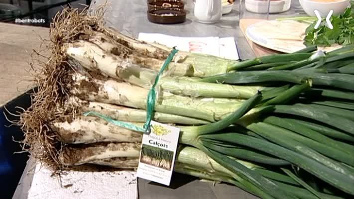 Calçots