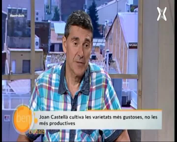 Capítol 117