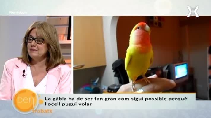 Carolina