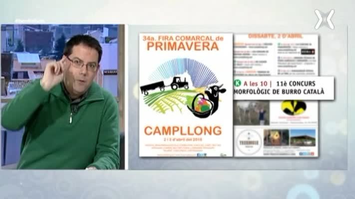 Fira Primavera Campllong