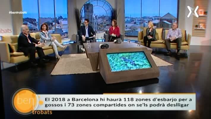 Gossos i espais públics