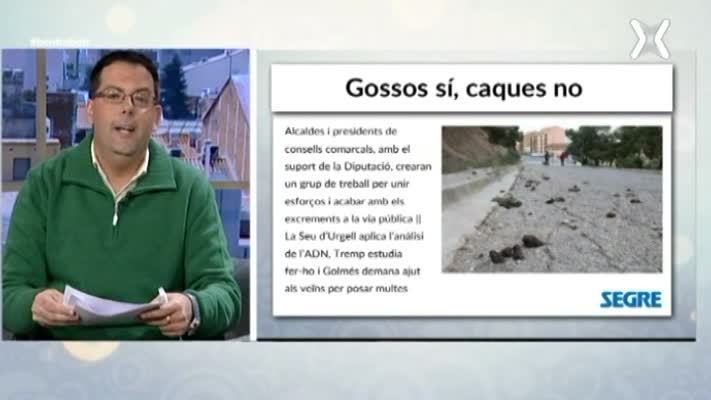Gossos sí, caques no