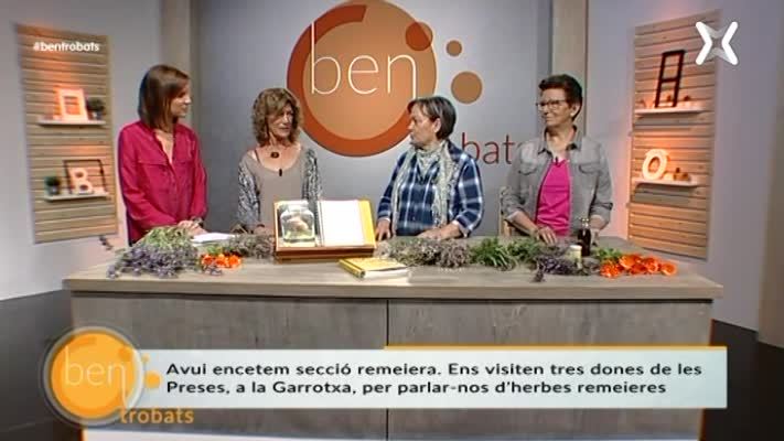 Herbetes