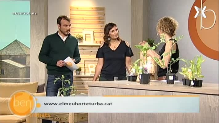 Hort de zero