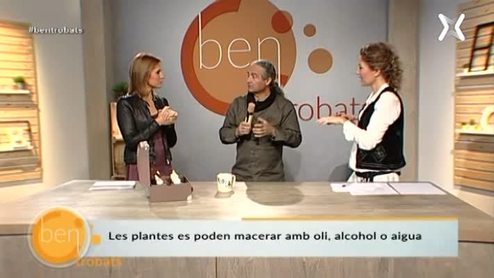 Maceració de plantes