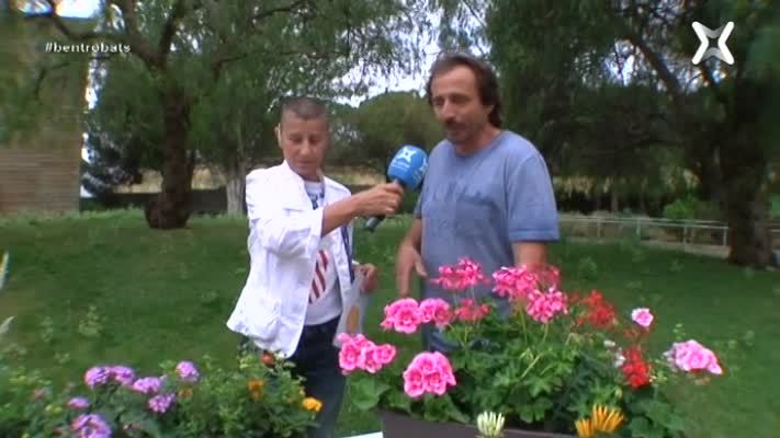 Plantes de poca aigua
