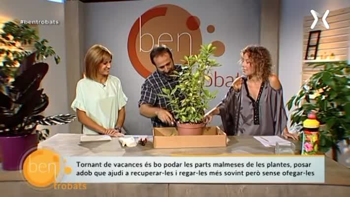 Post vacances