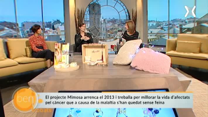 Projecte Mimosa