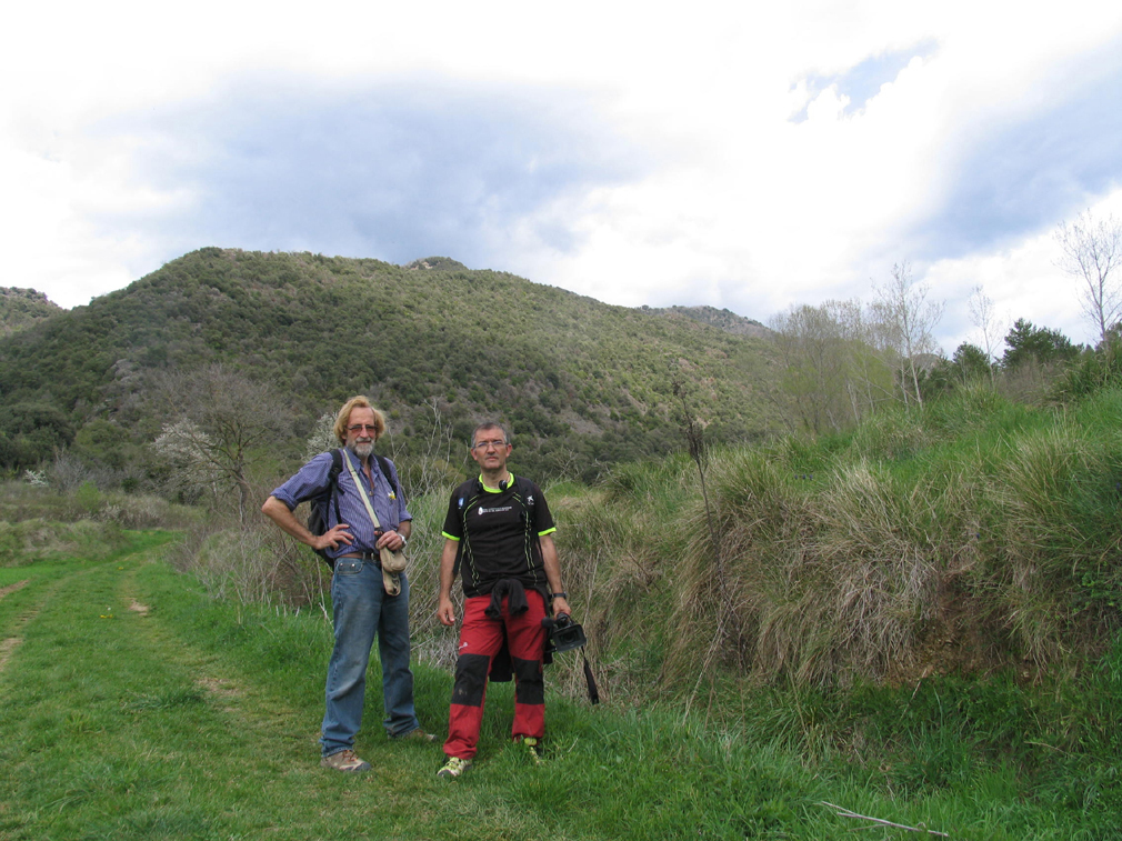 Serra de Bellmunt